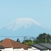 2026年5月10日(日曜・母の日)王様～♪♪