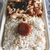 今日の妻の作ってくれた弁当