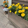 健康な体を作るには　晴れ