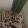 しろあん324日目