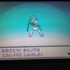 自分なりにプラチナ四天王を考えてみた さかなさかなさかな 自分なりにプラチナ四天王を考えてみた さかなさかなさかな