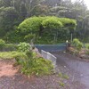 台風並みの風雨