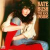 ケイト・ブッシュ（Kate Bush）『天使と小悪魔（The Kick Inside）』の歌詞和訳