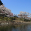 2019年4月6日　亀山湖 