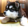 「ふるさと納税」の返礼品に異議あり。。