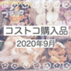 コストコ購入品紹介　2020.9月