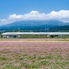 快晴予報だったので富士山の写真を撮りに富士市に行ったら・・・