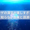 クラゲの漢字が美しすぎる！意外と知らない由来と語源を解説