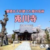 兎川寺（松本市）− ウサギにあふれた聖徳太子建立の桜の名所