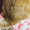 猫写真♯471