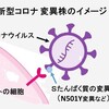 新型コロナウイルス（COVID-19）；変異型への認識が間違っていないだろうか？