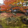 仁和寺御殿・書院の紅葉