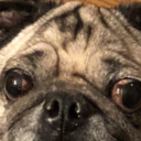 Mun’s blog