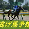 【紫苑S・エニフS】2020.9.12　逃げ馬予想