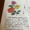 今日の新聞に