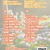 【関西地下アイドル】Link of happiness vol1【2021/9/13】