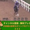 スプリンターズステークス（GI) 【競馬調教】 ブランボヌール 調教動画　「競馬レース結果ハイライト」2016年≪競馬場の達人,競馬予想≫