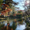 秋の盛岡城跡公園