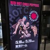 【2024】レッチリ東京ドーム公演に行ってきました。