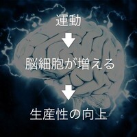 面倒臭がりな僕が運動やランニングの習慣化に成功した超具体的な方法 ノンストレス渡辺の研究日誌
