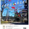 總持寺祖院で本日よりアンブレラスカイ「SORA＊HANA（ソラハナ）」が開催されています（6月13日まで）