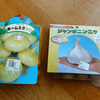 野菜づくり　来年の準備