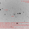 SN 2023fu 厳しいね～ in IC1874