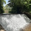 Cassiobury Park in Watford 