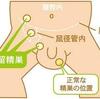 本日の検診（妊娠26週5日目）