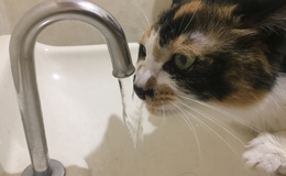 記事を見る