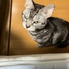 何か・・やってる