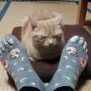 Minami's diary