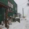 暴風雪でも薪運び、薪棚は雪のアートだ