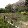 ４．１４．（月・晴れ）最悪日、ロス確定。三島歯科。不審な事件の連続。
