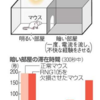 長期記憶の仕組み解明 （基礎生物学研究所）認知症薬開発に光 差す！