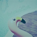 duckblueの文化的生活