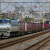 4月8日撮影　東海道線　平塚～大磯間　貨物列車２本撮影　5075ㇾ　2079ㇾ