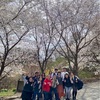 【桜の咲く頃に🌸】