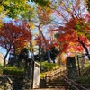 秘密にしておきたい紅葉狩りスポット「蘇峰公園」