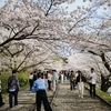日本での1か月の生活費(2024年4月)～大阪マンスリーマンション暮し