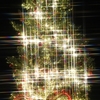 赤レンガのクリスマスツリーをクロスフィルタで撮影