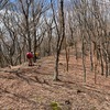 ナメラ山から岩屋口山