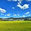 色んな風景～残暑厳し過ぎます～