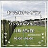 
11月5日(日)10:00～ イベント出店決定
むつさわドッグラン  ワンちゃんマルシェ