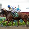 屈腱炎のセキフウが引退 種牡馬入り