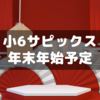 【小6サピックス】年末年始の塾予定をスケジュールアプリに入れる