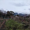 雨があがって