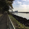里見公園 若き日の我を 愛おしむ
