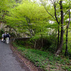 お花が増えてきたよ…　　〜今週の荒神山〜