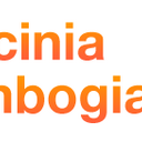 Do Not Buy Green Theory Garcinia Cambogia